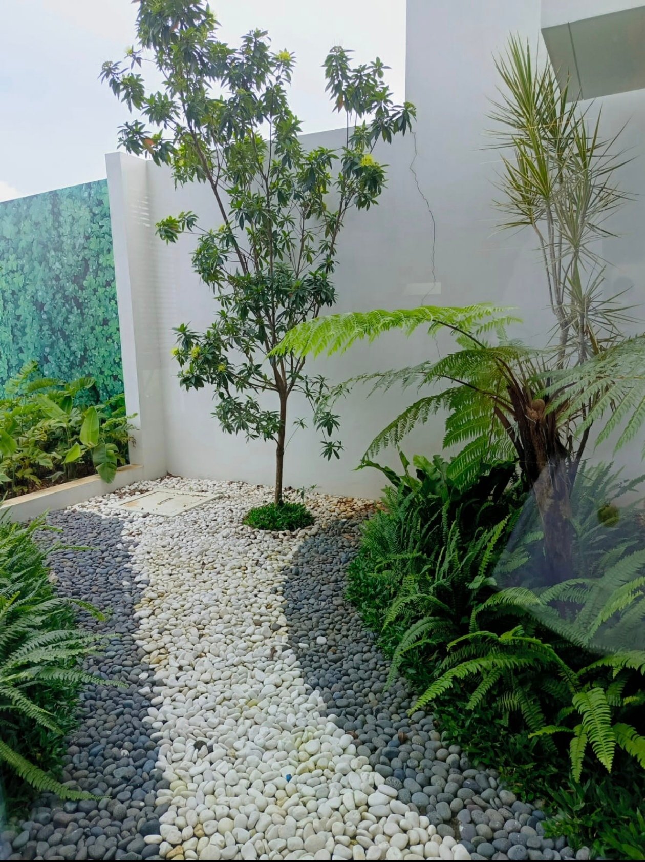 Screenshot_20260111_093621