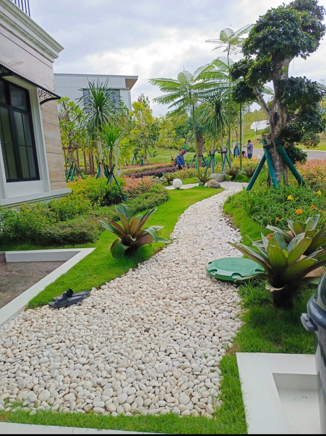 Screenshot_20260111_094645